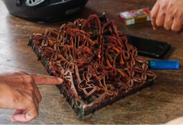 Laura Suryani Thedja